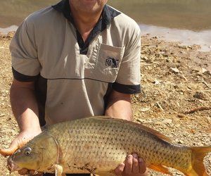 Dirk en Varswater blinklywe